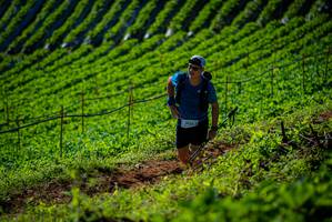 BIB: 
                            <button type="button" onclick="openModal(19161060)" class="btn btn-primary btn-sm float-right btn-popup" data-toggle="modal" data-target=".modal-high-quality">
                        <i class="fas fa-shopping-cart"></i> Add to Cart
                    </button>
                                            <button type="button" onclick="isThisMe(19161060, true)" class="btn btn-success btn-sm float-right btn-popup btn-isme hidden" data-toggle="tooltip" data-placement="bottom" title="นี่คือรูปของคุณใช่ไหม คลิกที่นี่เพื่อเอาเข้าอัลบั้ม">
                        <i class="fas fa-plus"></i> Add to album
                    </button>
                    <button type="button" onclick="isThisMe(19161060, false)" class="btn btn-warning btn-sm float-right btn-popup btn-isnotme hidden">
                        <i class="fas fa-ban"></i> Remove from album
                    </button>